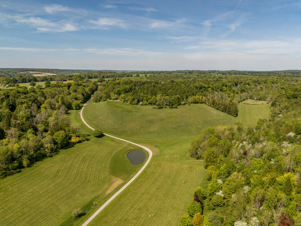 Lush green landscape with winding path